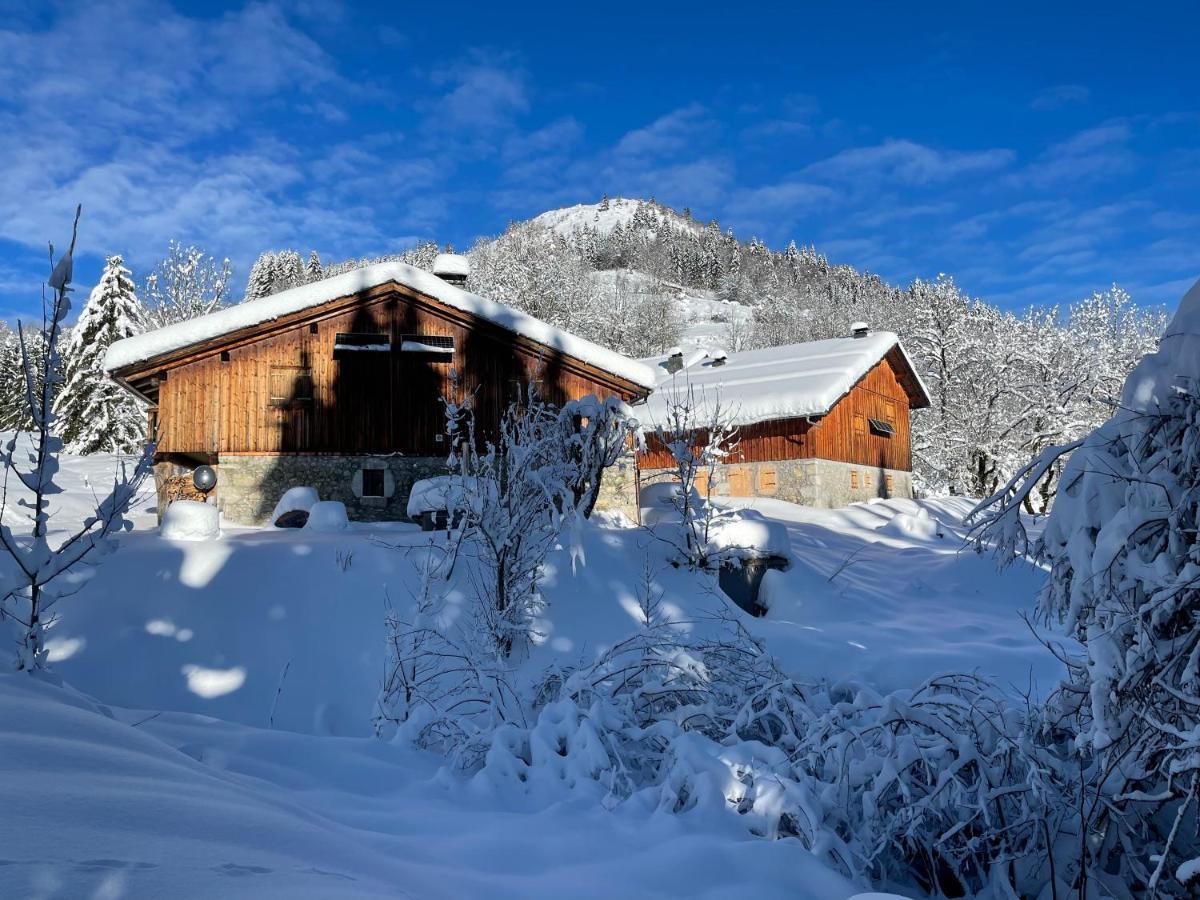 Chalet Alpage Proche Geneve Mégevette Exteriör bild