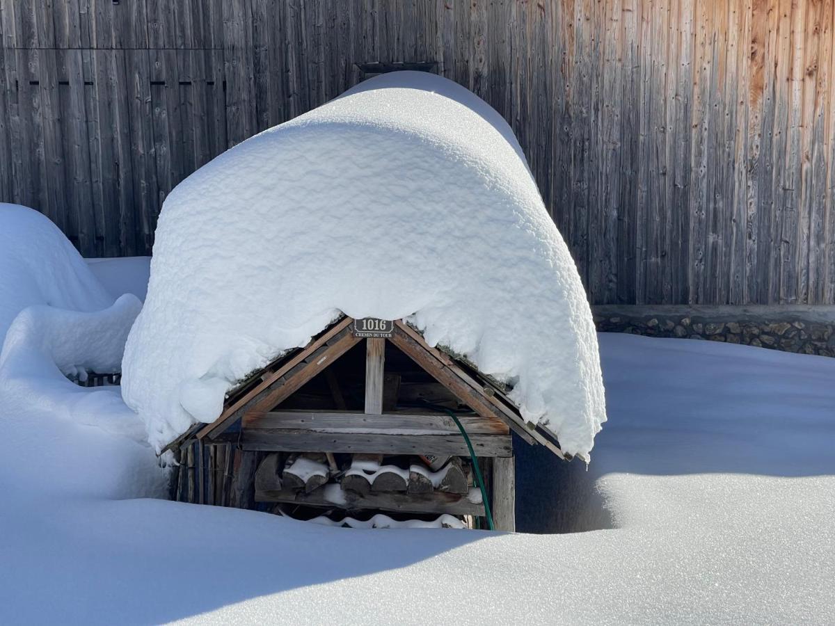 Chalet Alpage Proche Geneve Mégevette Exteriör bild