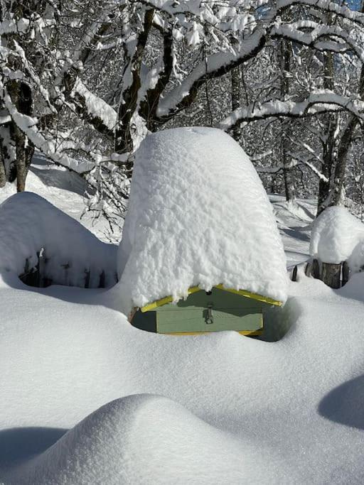 Chalet Alpage Proche Geneve Mégevette Exteriör bild