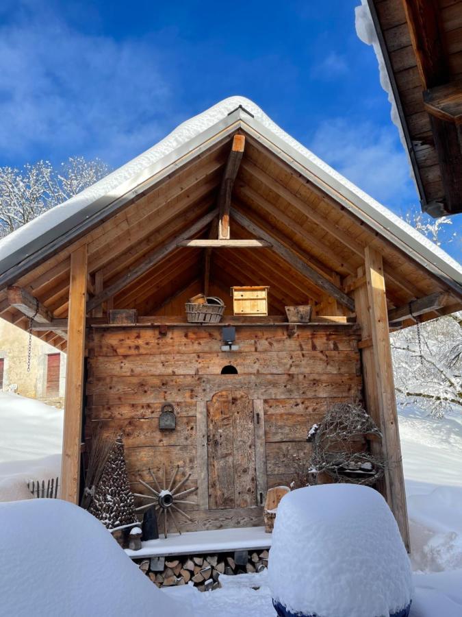 Chalet Alpage Proche Geneve Mégevette Exteriör bild