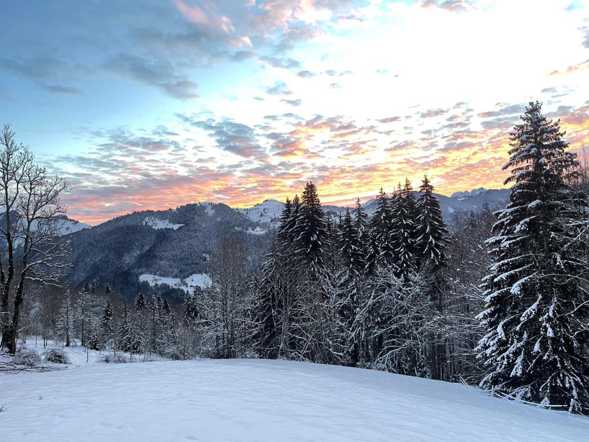 Chalet Alpage Proche Geneve Mégevette Exteriör bild