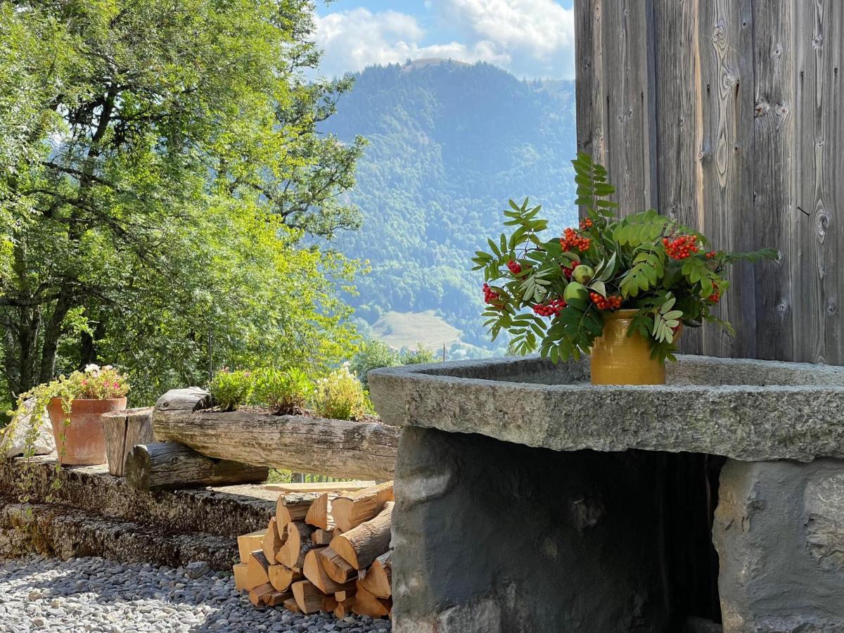 Chalet Alpage Proche Geneve Mégevette Exteriör bild
