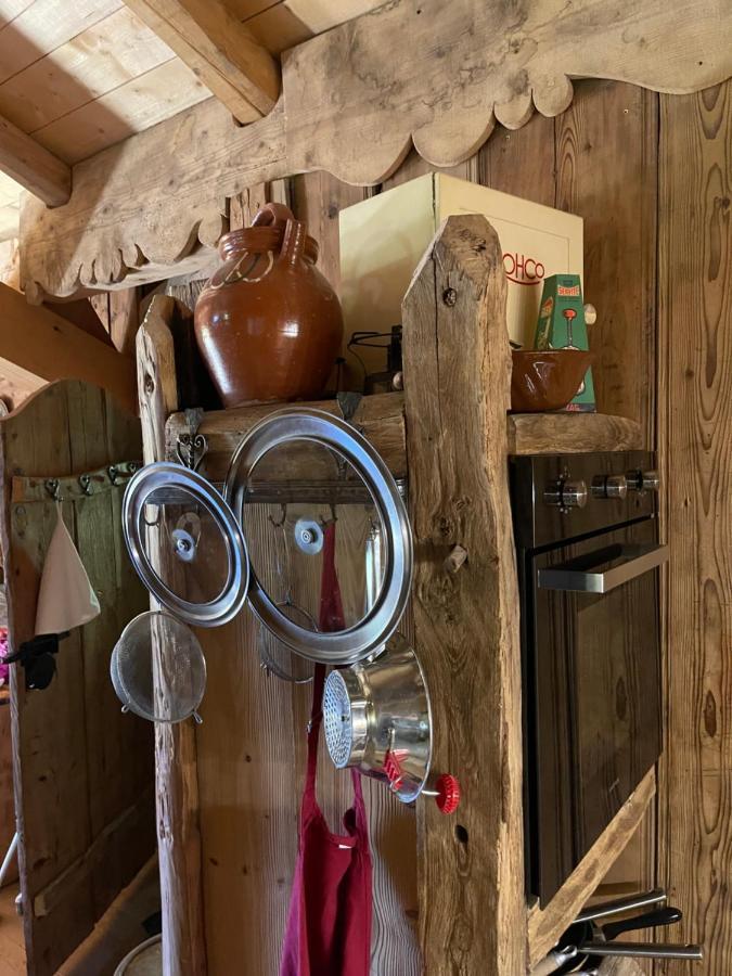 Chalet Alpage Proche Geneve Mégevette Exteriör bild