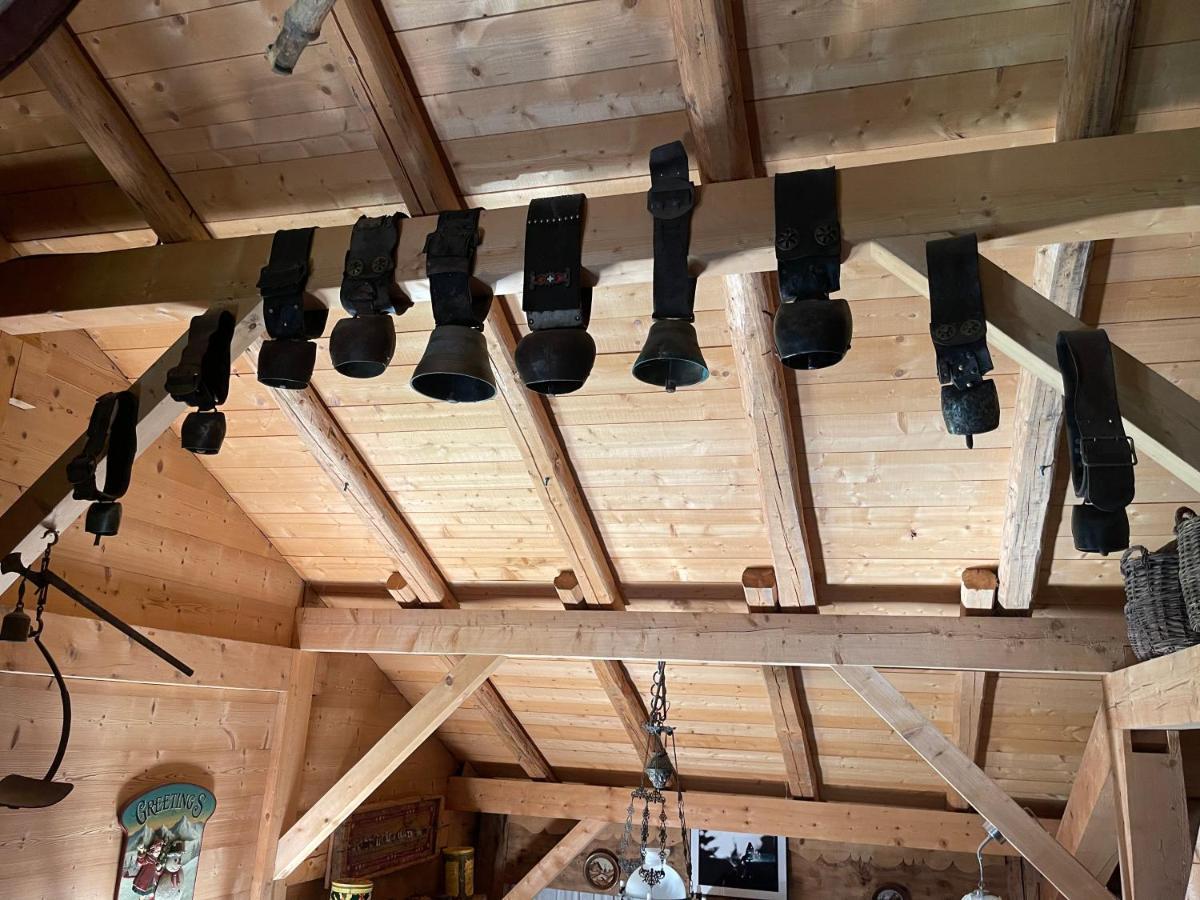 Chalet Alpage Proche Geneve Mégevette Exteriör bild
