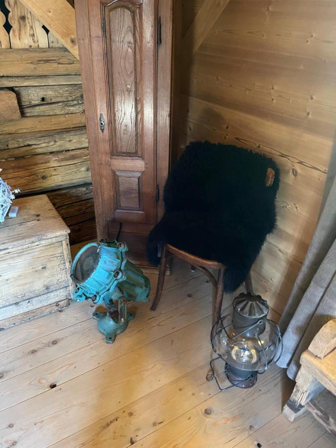 Chalet Alpage Proche Geneve Mégevette Exteriör bild